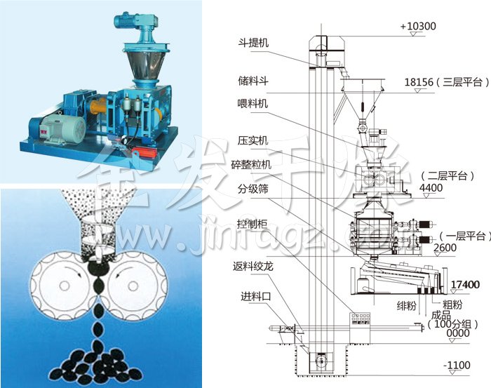 干法輥壓造粒機(jī)結(jié)構(gòu)示意圖